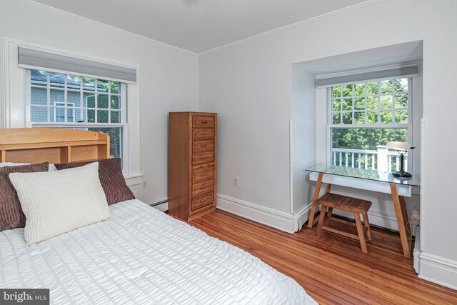 3 Evelyn Pl, Princeton, NJ 08540 - bedroom with wood finished floors, crown molding, multiple windows, and a baseboard radiator