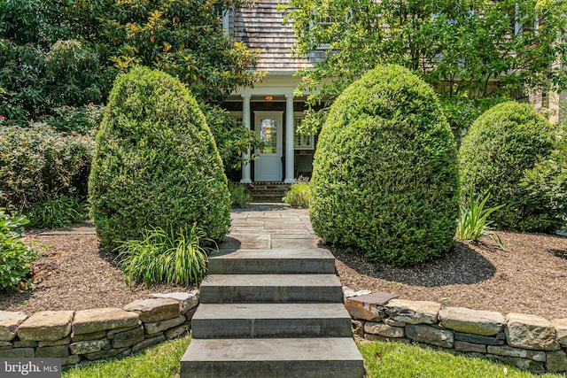 3 Evelyn Pl, Princeton, NJ 08540 - doorway to property