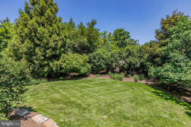 3 Evelyn Pl, Princeton, NJ 08540 - view of grassy yard