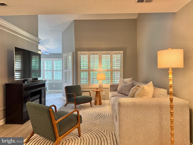 104 Gwen Dr Unit 104-3B, Forest Hill, MD 21050 - living area with light wood-style flooring, a textured ceiling, and a ceiling fan