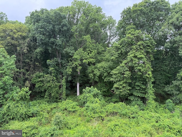 104 Gwen Dr Unit 104-3B, Forest Hill, MD 21050 - view of wooded area