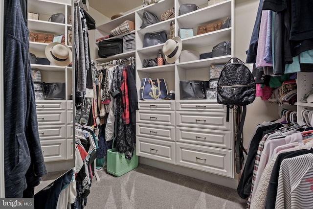 11742 Maid At Arms Ln, Berlin, MD 21811 - walk in closet with carpet flooring