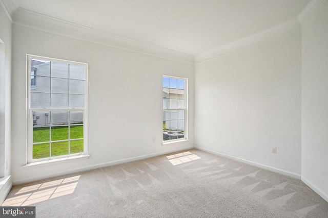 1624 Osprey Cir, Cambridge, MD 21613 - empty room with ornamental molding, carpet floors, and healthy amount of natural light