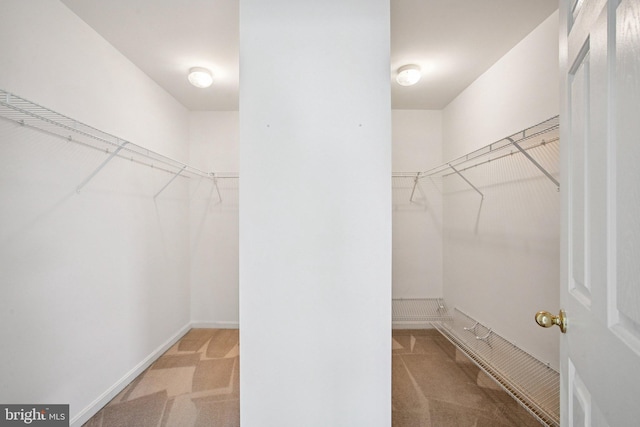 1624 Osprey Cir, Cambridge, MD 21613 - spacious closet with carpet flooring