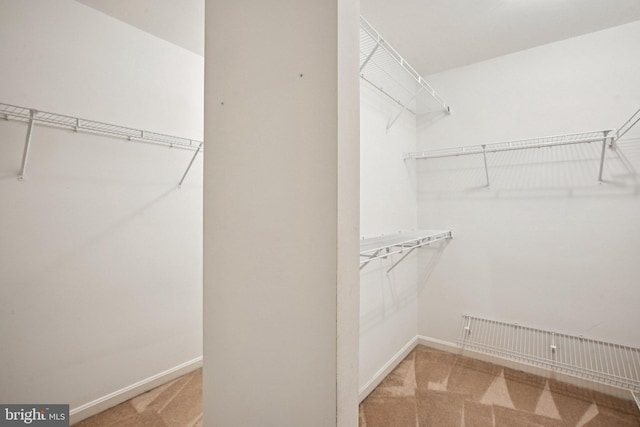 1624 Osprey Cir, Cambridge, MD 21613 - spacious closet with carpet
