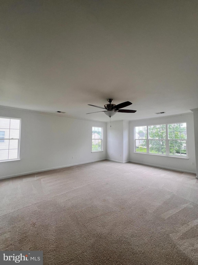 1624 Osprey Cir, Cambridge, MD 21613 - carpeted spare room with ceiling fan and baseboards