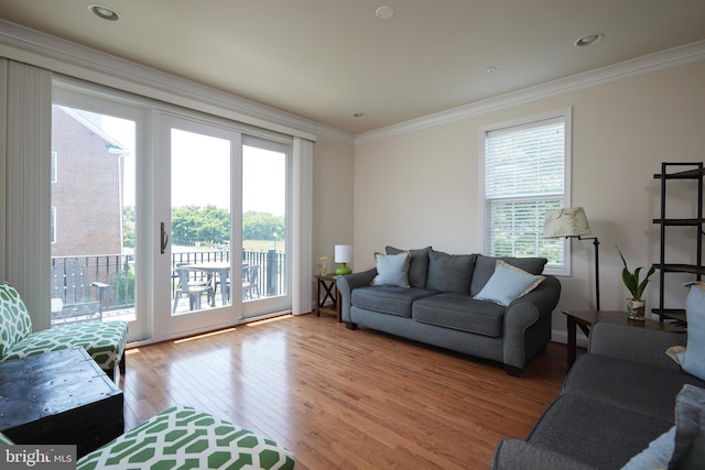 400 Blue Flax Pl, Gaithersburg, MD 20878 - living room with healthy amount of natural light, light wood-style floors, and crown molding