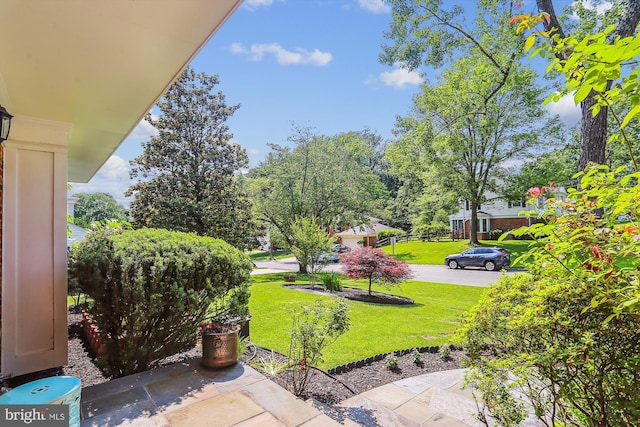 8600 Fox Run, Potomac, MD 20854 - view of green lawn