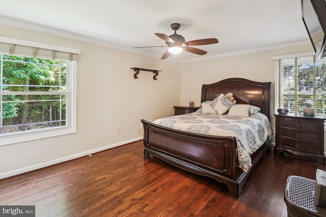 8600 Fox Run, Potomac, MD 20854 - bedroom featuring multiple windows, wood finished floors, crown molding, and a ceiling fan