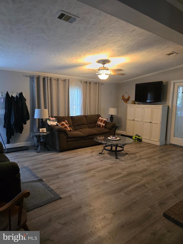 2800 Wakefield St, Colonial Beach, VA 22443 - living area featuring a textured ceiling, wood finished floors, plenty of natural light, and baseboards