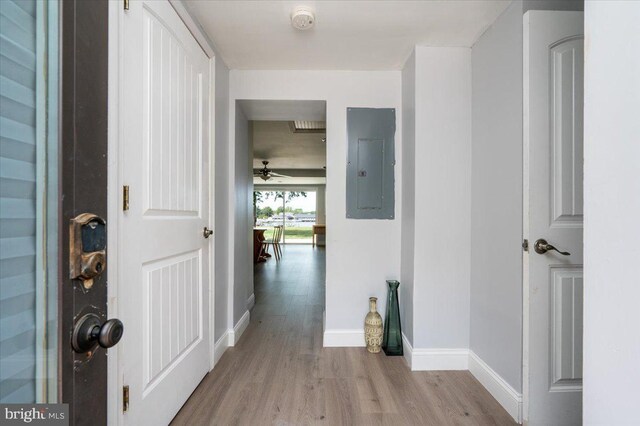 1312 Tuggies Rd, Pasadena, MD 21122 - hallway with electric panel, wood finished floors, and baseboards