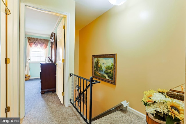 1027 Fredrick Blvd, Reading, PA 19605 - hallway with an upstairs landing, carpet floors, and baseboards