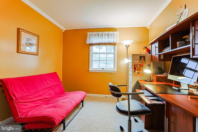 1027 Fredrick Blvd, Reading, PA 19605 - carpeted home office featuring crown molding and baseboards