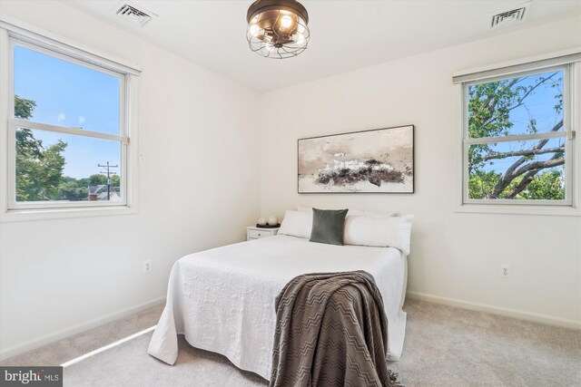 2142 N Dinwiddie St, Arlington, VA 22207 - carpeted bedroom featuring baseboards