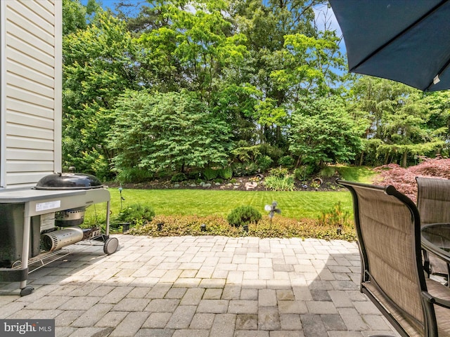 7732 Rotherham Dr, Hanover, MD 21076 - view of patio / terrace featuring area for grilling and view of wooded area