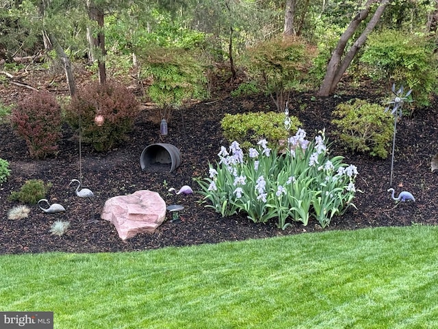 7732 Rotherham Dr, Hanover, MD 21076 - view of grassy yard
