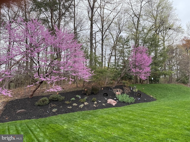 7732 Rotherham Dr, Hanover, MD 21076 - view of grassy yard