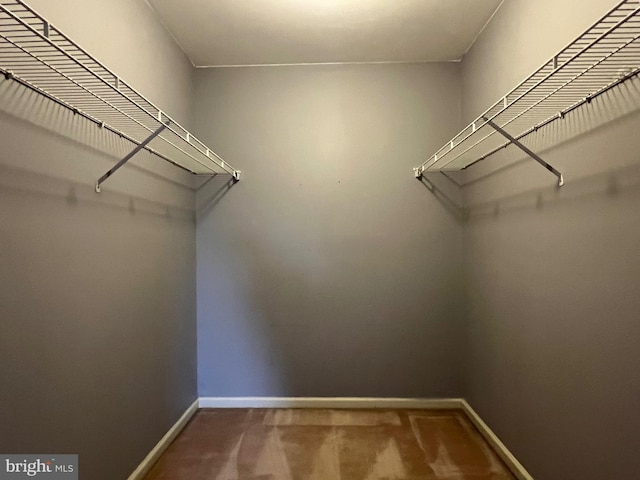 28 Willow Way Dr, Enola, PA 17025 - walk in closet featuring carpet flooring