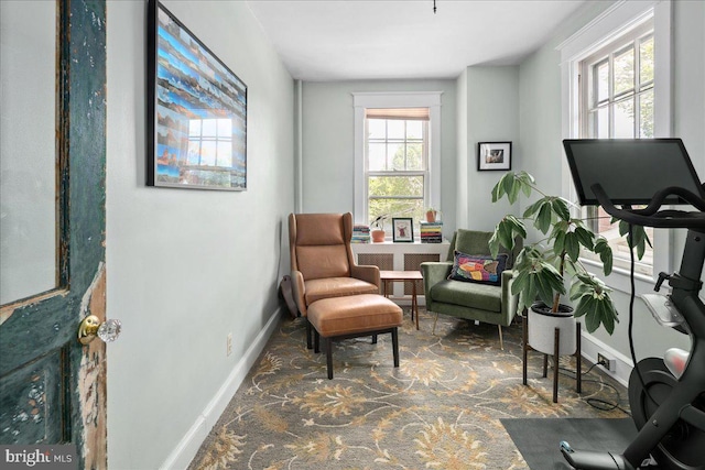 6721 Piney Branch Rd NW, Washington, DC 20012 - living area with baseboards and carpet flooring