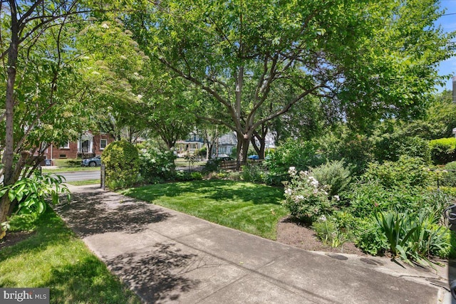 6721 Piney Branch Rd NW, Washington, DC 20012 - view of community with a yard