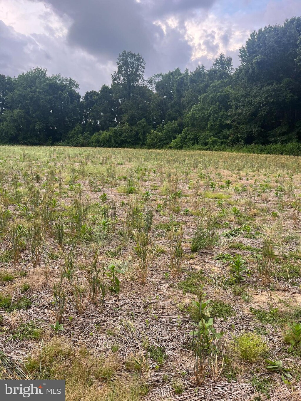 LOT10 Salem Church Rd, King George, VA 22485