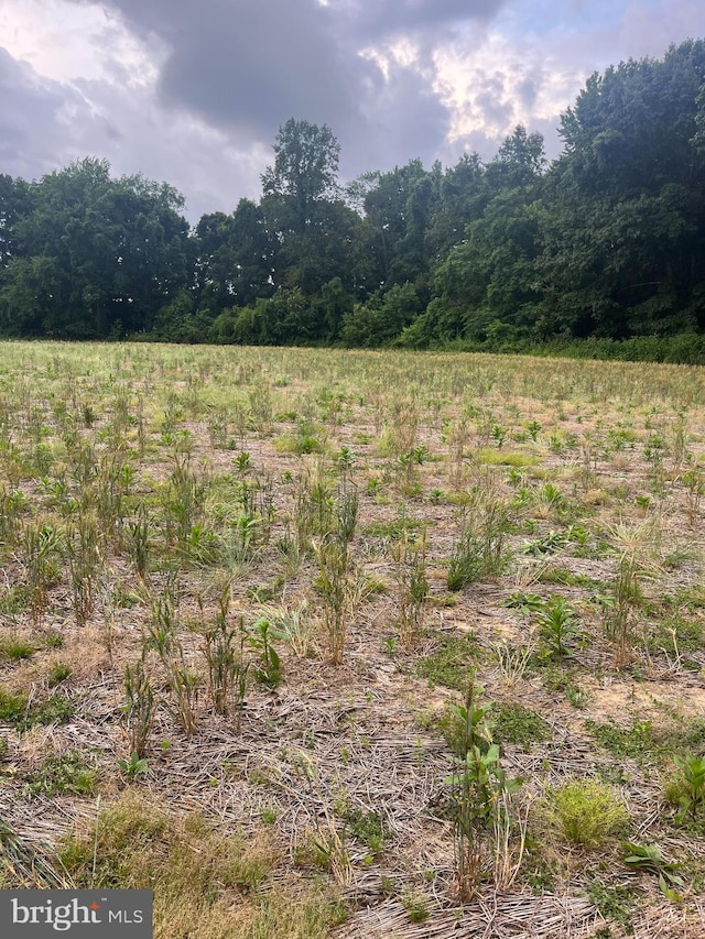 LOT10 Salem Church Rd, King George, VA 22485
