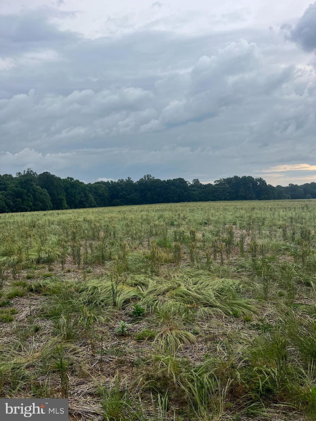 LOT10 Salem Church Rd, King George, VA 22485