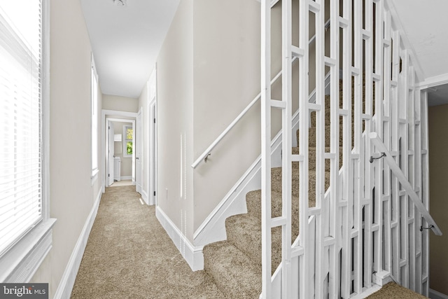 3414 Old York Rd, Baltimore, MD 21218 - stairway featuring carpet flooring and baseboards