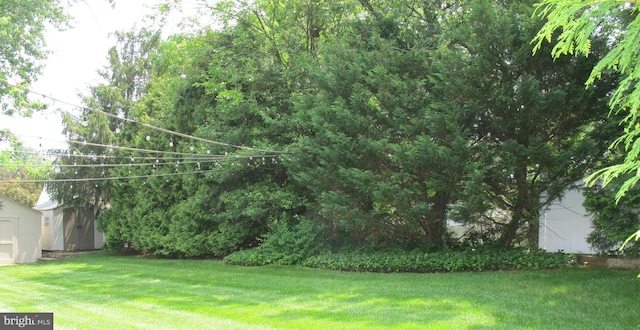 126 Devon Rd, Cinnaminson, NJ 08077 - view of green lawn with a shed