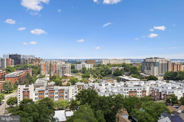 2001 15th St N Unit 1005, Arlington, VA 22201 - city view