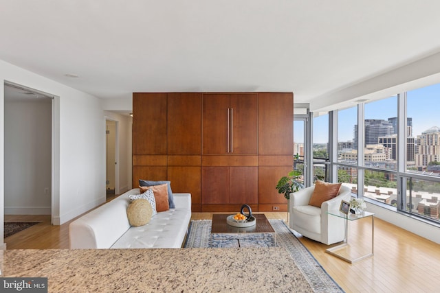 2001 15th St N Unit 1005, Arlington, VA 22201 - living room with wood finished floors and a view of city