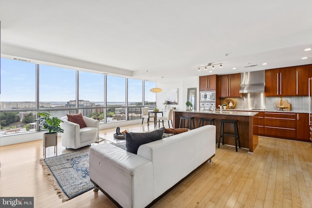 2001 15th St N Unit 1005, Arlington, VA 22201 - living area featuring light wood-type flooring and a view of city
