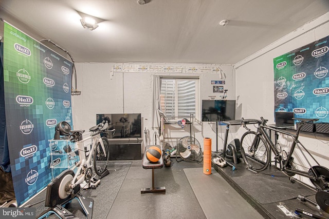 1001 Lakeview Ct Unit 1001, King Of Prussia, PA 19406 - view of exercise area