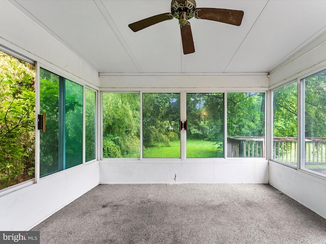 10694 Salem Ave, Thurmont, MD 21788 - unfurnished sunroom with plenty of natural light, a ceiling fan, and carpet floors