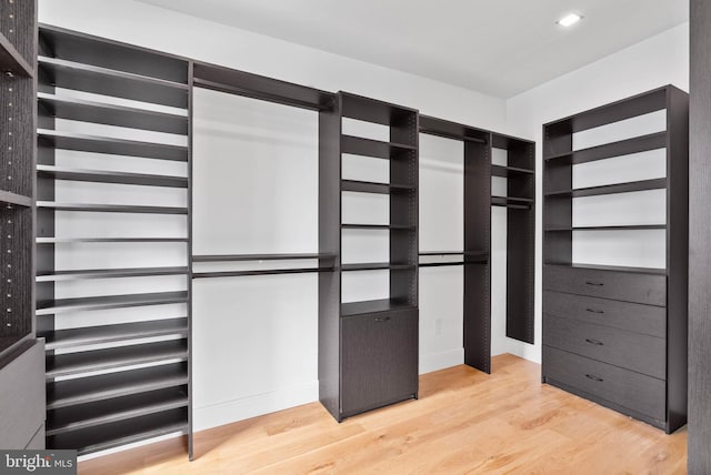 2301 Naudain St, Philadelphia, PA 19146 - walk in closet featuring light wood-style floors