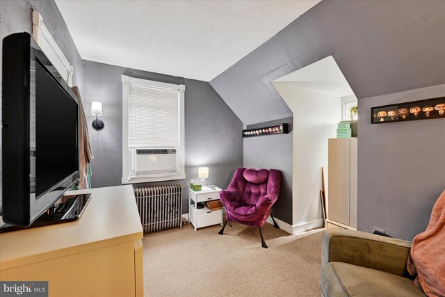 133 S Prospect Ave, Baltimore, MD 21228 - office featuring radiator heating unit, carpet floors, and lofted ceiling