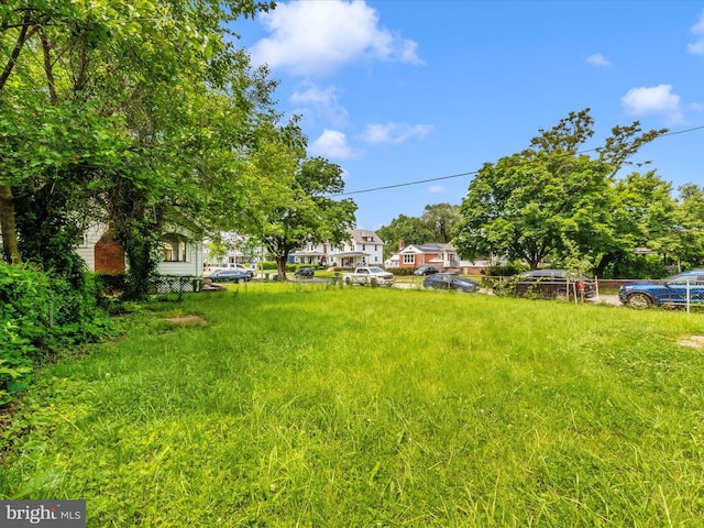 3812 Callaway Ave, Baltimore, MD 21215 - view of yard