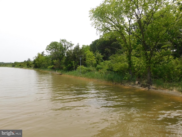 215 Cedar Beach Dr, Prince Frederick, MD 20678 - water view featuring a heavily wooded area