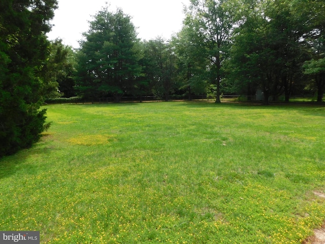 215 Cedar Beach Dr, Prince Frederick, MD 20678 - view of green lawn