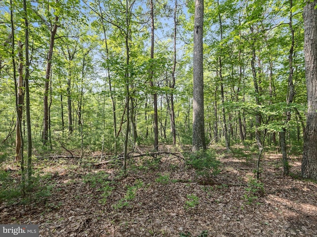 LOT4 Silent Way, High View, WV 26808
