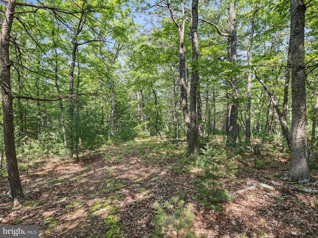 LOT4 Silent Way, High View, WV 26808