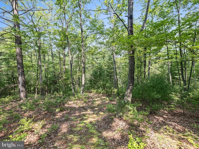 LOT4 Silent Way, High View, WV 26808