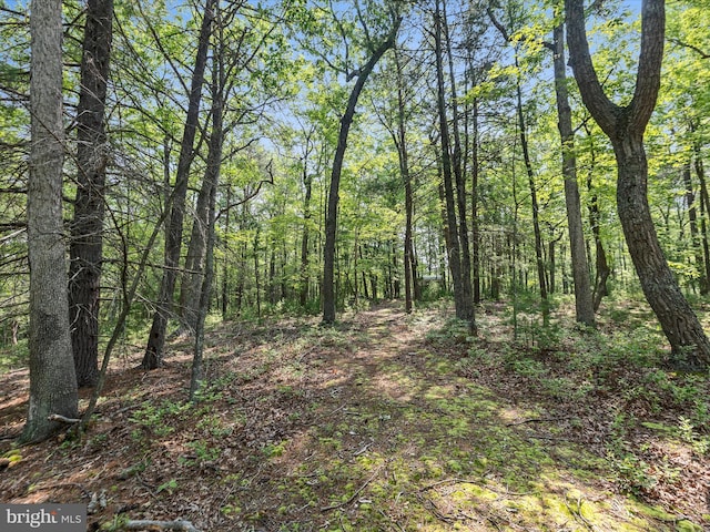 LOT4 Silent Way, High View, WV 26808