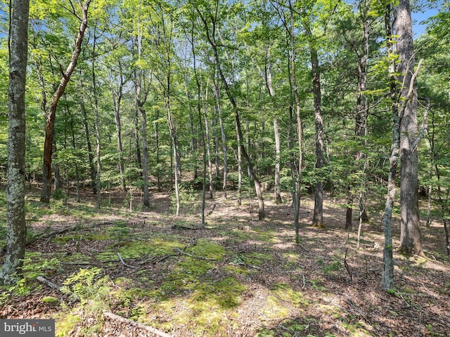 LOT4 Silent Way, High View, WV 26808