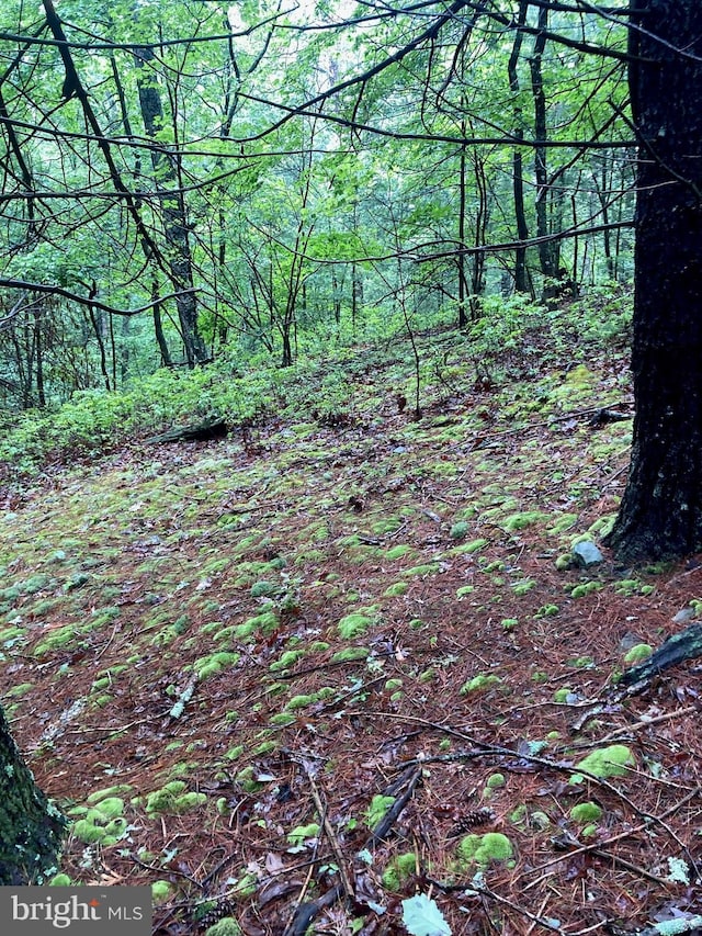 LOT4 Silent Way, High View, WV 26808