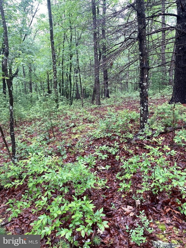 LOT4 Silent Way, High View, WV 26808