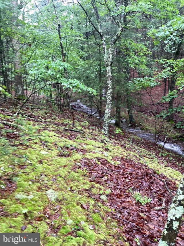 LOT4 Silent Way, High View, WV 26808