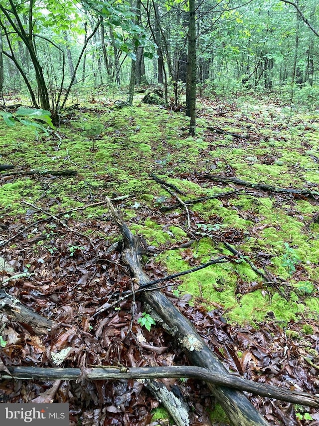 LOT4 Silent Way, High View, WV 26808