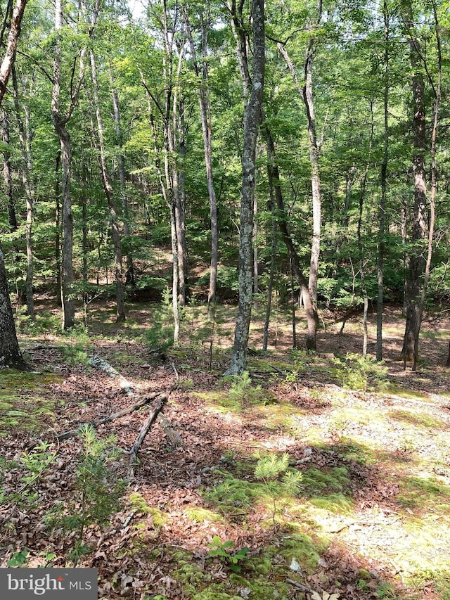 LOT4 Silent Way, High View, WV 26808