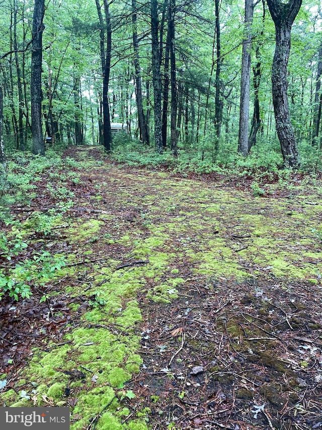 LOT4 Silent Way, High View, WV 26808